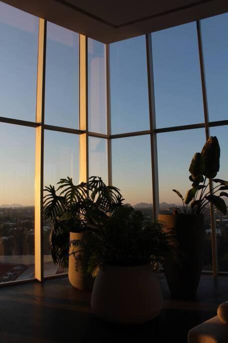 Apartament Departamento En Zona Andares, Park Life Guadalajara Zewnętrze zdjęcie